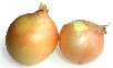 Onions Pic