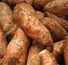 Sweet Potatoes Pic
